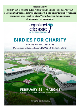 Support Birdies for Charity