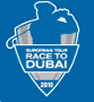 more race to Dubai info